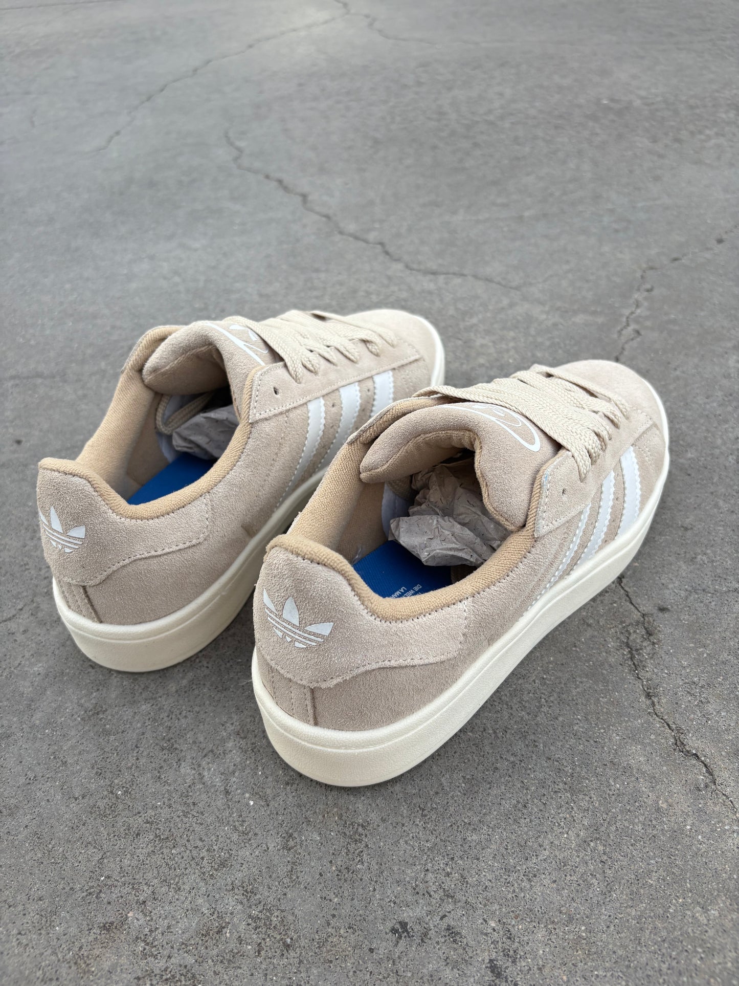 Adidas Campus Beige